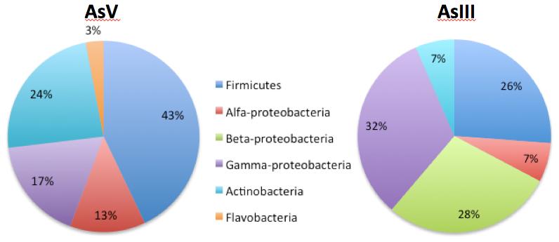 Diversity of microorganisms involved in bioremediation processes & OMICS 2.