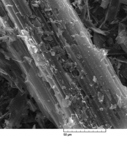 Biosorption and bioaccumulation of heavy metals systems is to adjust the experimental data to a mathematical model from which number of parameters can be obtained for quantitative interpretation of