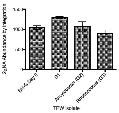 Biodegradation and toxicity of POPs Figure 3: Abundance of 2χNA after 12 days of incubation with single species TPW biofilms.