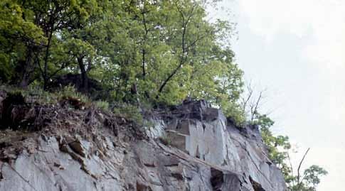 V závislosti na tomto vlivu, geologickém podkladu a mezoklimatických podmínkách jsou však velmi variabilní a s celkově bohatým druhovým složením