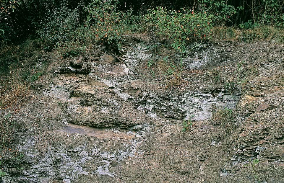 PlzeÀsko a Karlovarsko GEOLOGIE V odkopávce a dnes zarostlém lomu u Ïelezniãní trati je odkryta svrchní ãást klabavského souvrství ãeského spodního ordoviku.