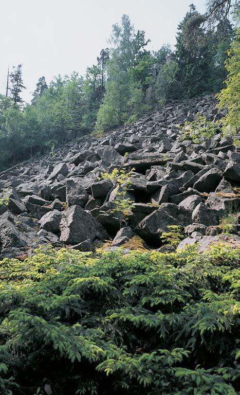 Okres Rokycany rezervace Îìár Skalní útvary a lesní porosty na vrcholu a na severním a v chodním svahu vrchu Îìár (69,5 m 