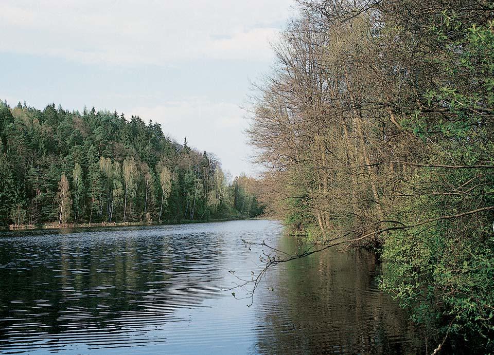 Okres Rokycany park TrhoÀ Vyhlá en Okresním národním v borem Rokycany vroce 979 jako oblast klidu ve Stra ické vrchovinû.