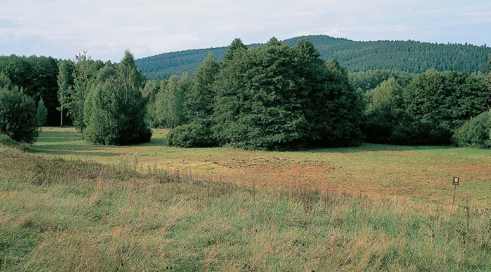 PlzeÀsko a Karlovarsko GEOLOGIE Niva Klabavy je tvofiena spodním tûrkopískov m souvrstvím a svrchním souvrstvím povodàov ch sedimentû ãtvrtohorního stáfií.