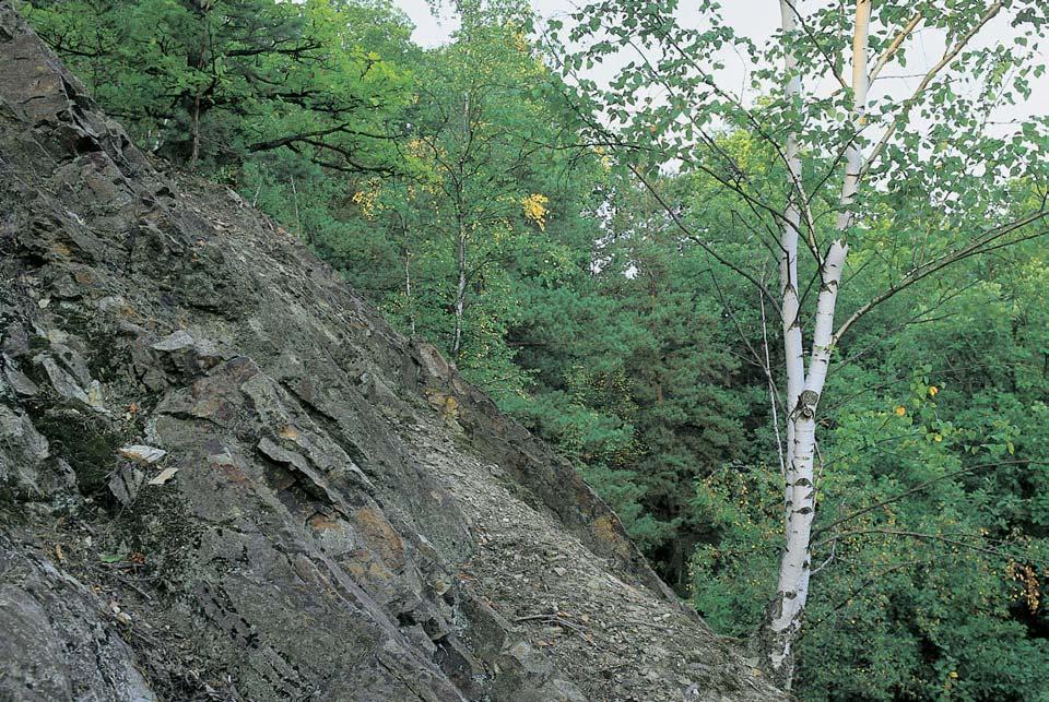 Okres Rokycany památka Medov Újezd Spodní ãást strmého jihozápadního svahu kóty 487,4 m n. m. nad prav m bfiehem Medoújezdského potoka na severním okraji obce Medov Újezd v Hofiovické brázdû.