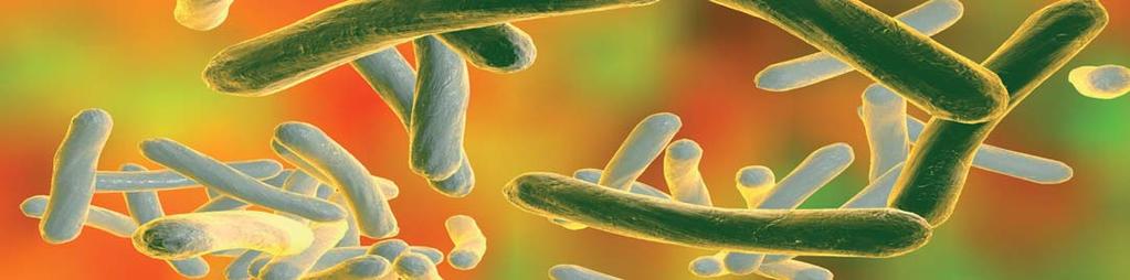 Základní mikrobiální preparáty Antivex obsahuje informace o všech virech, které mohou napadnout lidský organismus, včetně virů přenesených od zvířat.