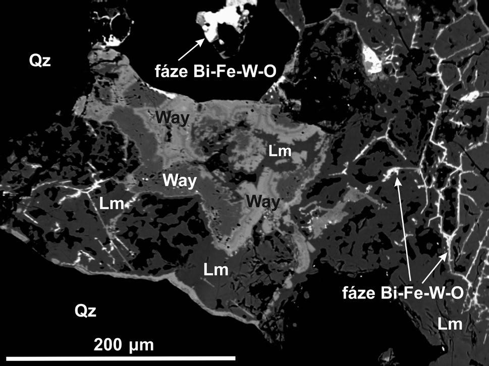 Metodika výzkumu Pro detailní mineralogické studium byl použit cca 3 cm velký agregát wolframitu zarostlý v křemeni, pocházející ze sbírek Moravského zemského muzea v Brně.