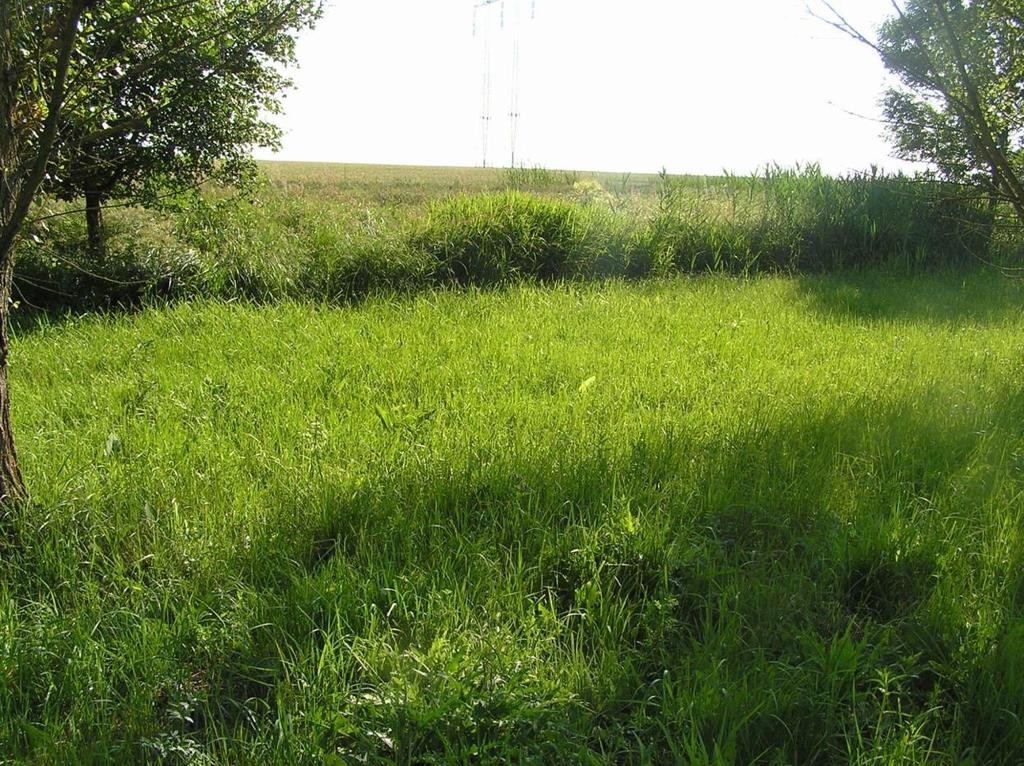 Lokalita Violky prostřednictvím pozemkových spolků na lokalitě Violky spočívalo v: - kosení travních porostů svépomocí včetně likvidace posečené hmoty (1,5 ha), - budování a