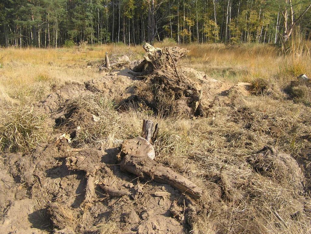 Lokalita Na Plachtě prostřednictvím pozemkových spolků na lokalitě Na Plachtě spočívalo ve: - výřezu náletových dřevin svépomocí včetně likvidace vyřezané hmoty (1,8 ha), - vybudování zimoviště pro