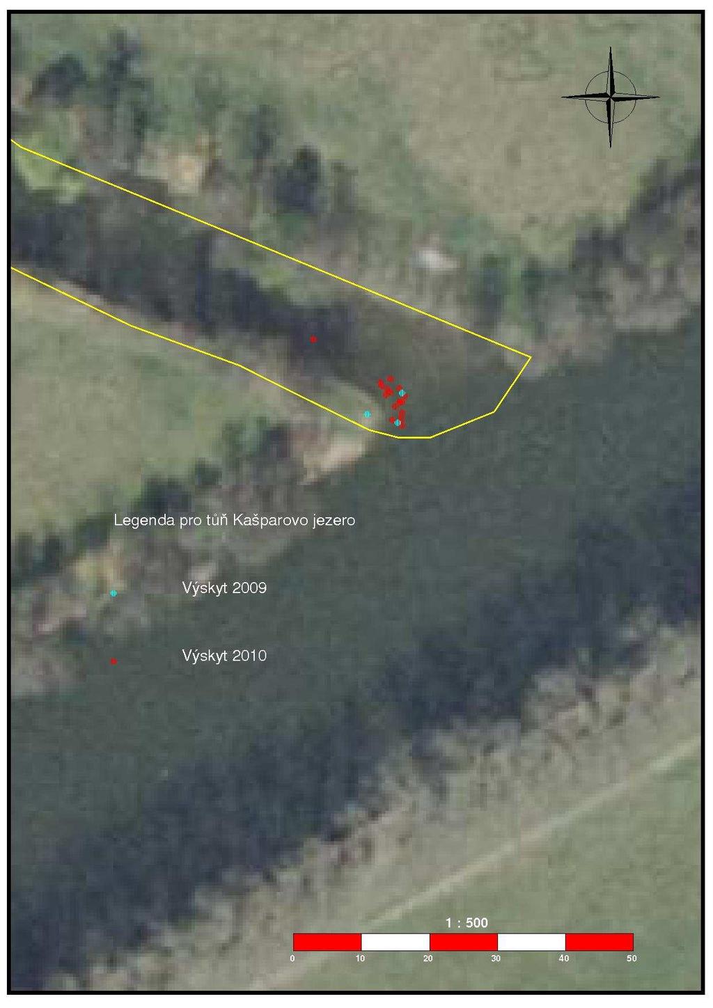 Obr. 4 Výskyt rdestu dlouholistého v lokalitě Kašparovo jezero u Slezského Předměstí, zpracování mapy Kodytek 2010 250 200 počet lodyh 150 100 trsy
