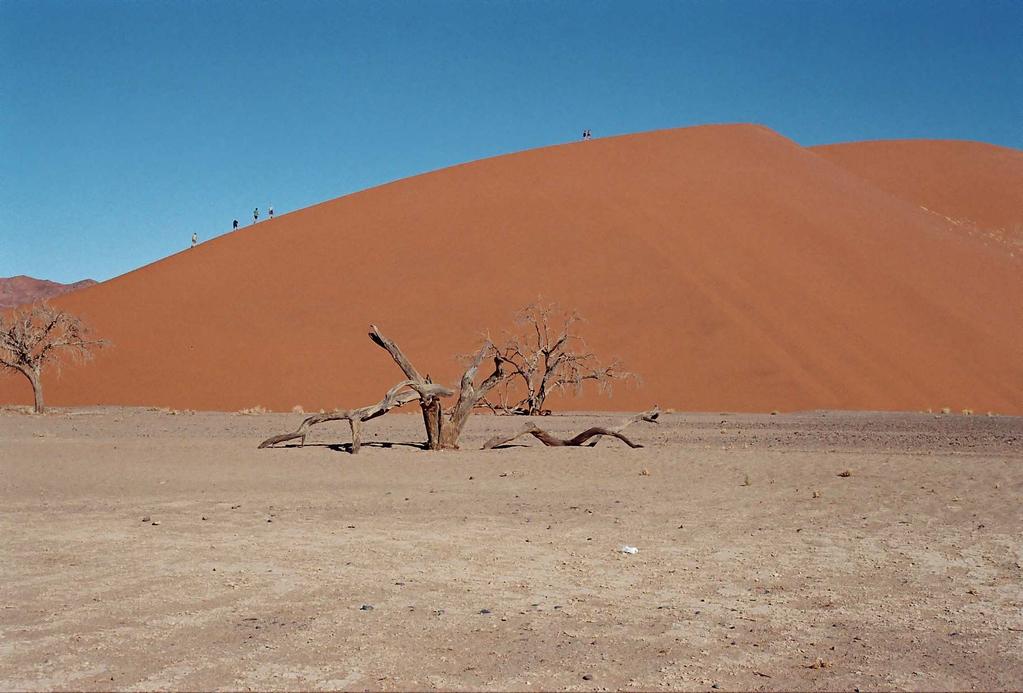 Desertifikace rozšiřování pouští Úkol: zjisti,