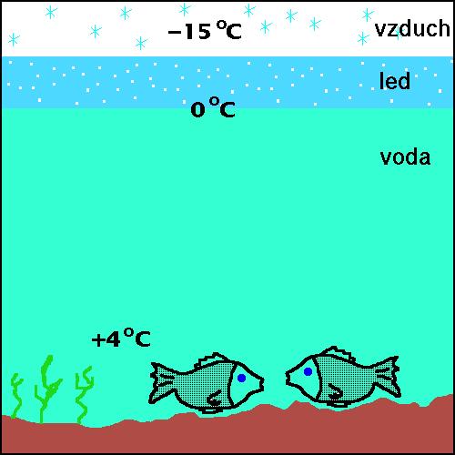 Studená voda (0 C) plave na teplejší (4