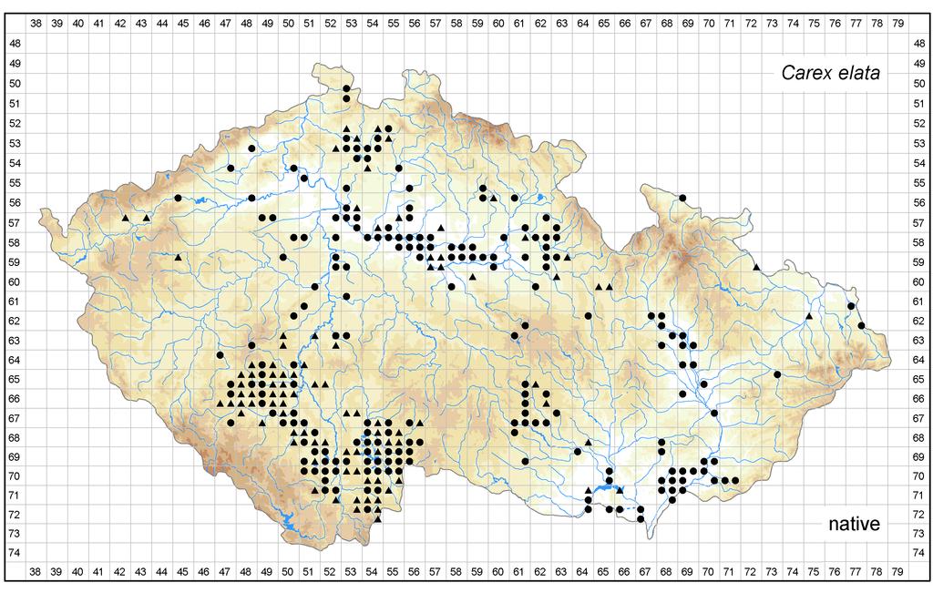 Distribution of Carex elata in the Czech Republic Author of the map: Vít Grulich, Radomír Řepka Map produced on: 06-02-2018 Database records used for producing the distribution map of Carex elata