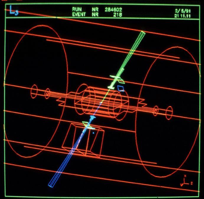 kruhový collider LEP (Large Electron Positron Ring), byl vybudován v CERN.