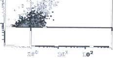 znače ných fluores c e nčními barvami: fl uorescein-isocyanát (FITC), phycoerythrin (PE), phycoerytrincyanin 5 (PCS),