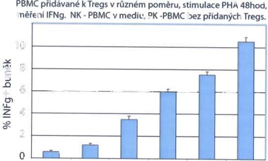 3.2 Část zaměřen á na Tregs Magnetickou separací se nám podarilo získat vysoce či stou populaci CD4+CD25+ Tr gs, u které jsme, p ři pokusech in vitro, potvrdili na dávce závislou schopnost