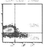 Analyses were performed on 4-coloured C)'[QmicsTM FC 500 cy[qme[e[ (Beckman Coul[er. Miami. FL. USA). For analysis. PBMC were ga[ed on lymphocy[es (based on forward and side scatrer and CD3 ').