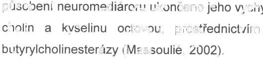 spol, 1994) zajišťující přenos syntetizovaného ACh do synaptických váčků a vysokoafinni cholinový přenašeč transportující z extracelulární tekutiny prekurzor acetylcholinu, tedy cholin (obrázek 3),