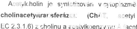 Účinek ACh je, na rozdíl od vě tšiny ostatních nízkomolekulárních přenašečů, kde je p ůsob ení neuromediároru u k o n čeno jeho vychytáváním, ukončen hydrolýzou, a to na cholin a kyselinu octovou,