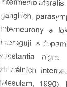 3.2.7 U kon čení pů s obe n í acetylcholinu acetylcholinesterázou a butyrylcholinesterázou Úč inek u volněného acetylcholinu v synaptické štěrbi ně je ukončen velmi rychlým pů sobení m cholinesteráz