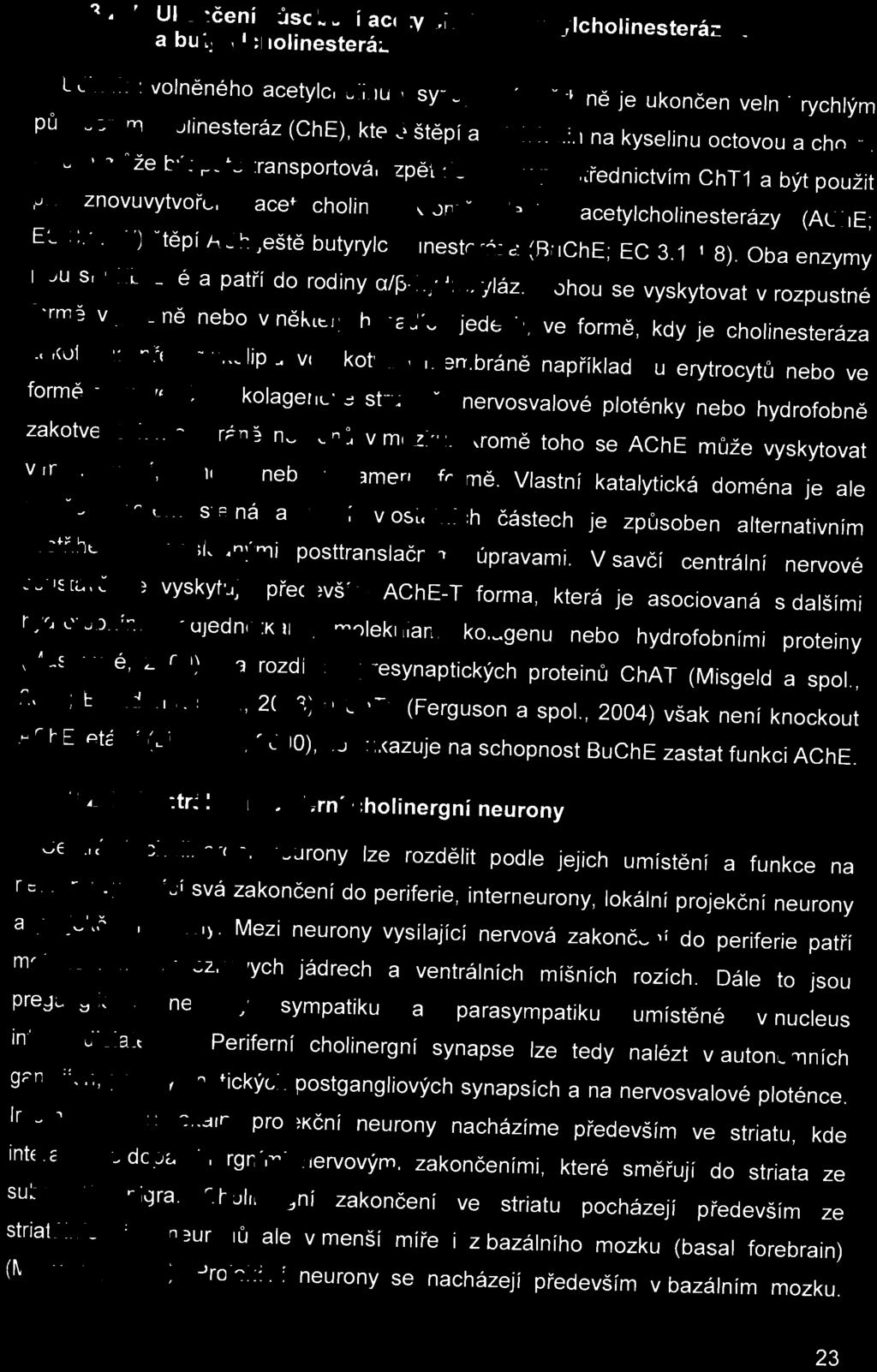 Kromě vlastní acetylcholinesterázy (ACh E; EC 3.1.1.7) š těpí ACh j eště butyrylcholinesteráza (BuChE; EC 3.1.1.8). Oba enzymy jsou si příbuzn é a patří do rodiny a/f3-hydroxyláz.