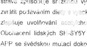 2 VLIV DOKOSAHEXAENOVÉ KYSELINY NA EXPRESI CHOLlNERGNíHO FENOTYPU U BUNĚK LINIE NG 108-15.