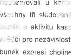 pěstovaným v médiu bez séra přid ávána zvyšující se koncentrace DHA, zvyšovala se aktivita ChAT i množství proteinu ( růst buněk) a snižovala se aktivita kaspázy-3 u diferencovaných i nediferencova