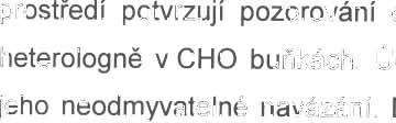 může receptor aktivovat, i když je navázán na jiné než klasické vazebné místo (obrázek 9). Tyto výsledky jsou v souladu s pozorováními na M 1 receptorech exprimovaných v CHO buňká ch (Jakubík a spol.