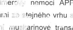 6 ZÁVĚR V rámci této práce jsme do spěli k tě mto konkrétním výsledkům: Transgenní myší model Alzheimerovy nemoci AP Pswe/PS1dE9 vykazuje př i srovnání s netransgenními kontrolami ze stejného vrhu