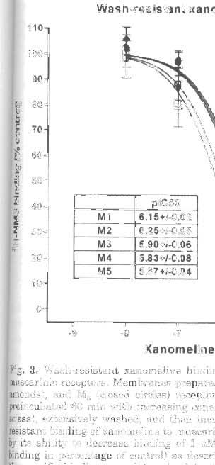 Membranes pl'epared fl'om MJ (triangles), M.