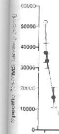 :22 Machová et al. ~! 3.0 g u Ol 2.5 ::I III III '= 'O 2.0 ~ t., 1.5 'II III j! '" 1.0 Q).. ~ c: 0. 5 o ť i! 0.0 u.. B 60000... ~ :!1. O> : ~ :c ~ z i 20000 1< i 10000 lil c &SOO E' ~ooo Q.