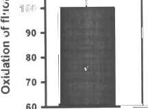 1244 Neurochem Res (2006) 31:1239-1246 2.0 1.9 1.8 Potassium depolarization-evoked changes of [Ca 2']; ~!!: 1.7 o -o-serum D ;; 1.6 -albumin D Ll. 1.5 t: - alb D+DHA 10 JlM O :;:; 1.4 ~ 1.3 <II u 1.