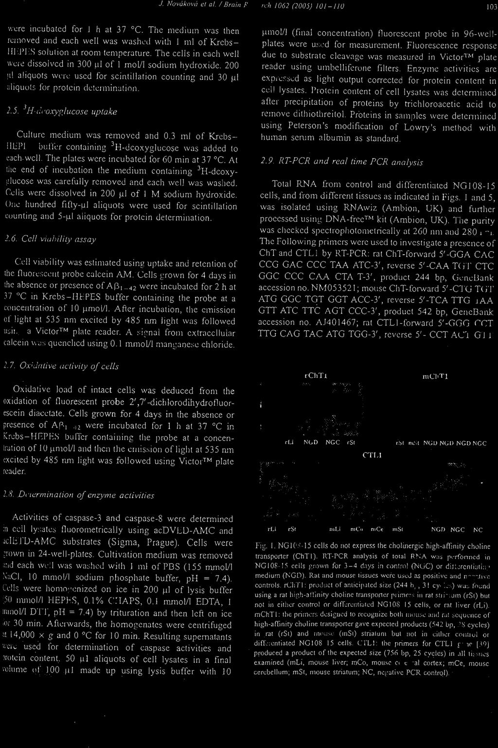 At Ihe end of incub:llion thc medium containing 3H-dcoxyglucosc was carefully removed and cach well wa s wasbed. Ce lls were disso lved in 200 111 of I!vl sod ium hydroxide.