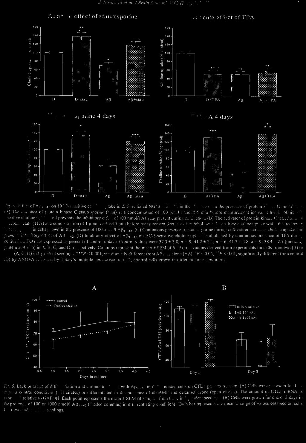 Conlrol v" lues wcrc 37.3 ± 3.8, n = 9, 41.2 ± 2.1, II = 6, 41.2 _ 4.8, 11 = 9, 3~.4 ± 2.7 (pmoljm g protein 3 1 4 min) in 1\, U, C, and O, rcspcctively.