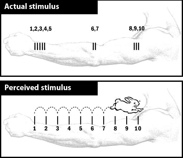 Cutaneous Rabbit illusion Subjekt zavře oči a je mu rychle poklepáno pětkrát na zápěstí, třikrát na loket a dvakrát po rameni.