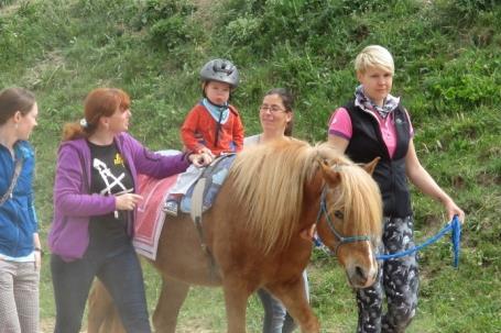 Tauferova střední odborná škola veterinární Kroměříž volitelný předmět Hiporehabilitace, na závěr složilo zkoušku pro vodiče koní 16