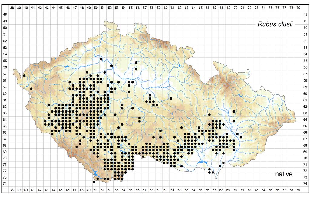 Distribution of Rubus clusii in the Czech Republic Author of the map: Bohumil Trávníček, Jiří Zázvorka, Petr Havlíček, Vojtěch Žíla Map produced on: 26-10-2018 Database records used for producing the