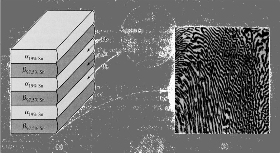 Dvě složky dokonale mísitelní v (l) a dokonale nemísitelné v (s) Eutektikum Při eutektickém složení