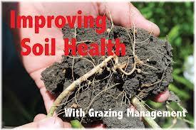 Cover crops keep the soil anchored and covered in off-seasons so that the soil is not eroded by wind and rain.