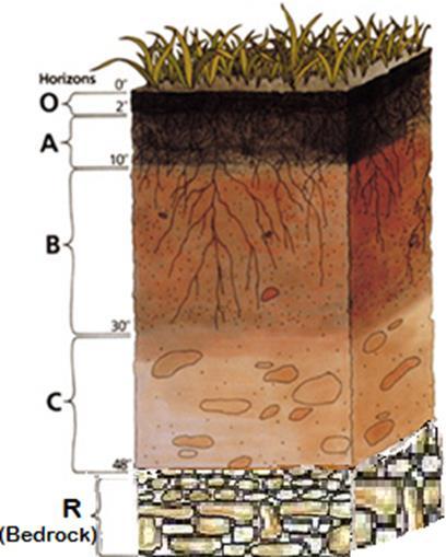 and soil