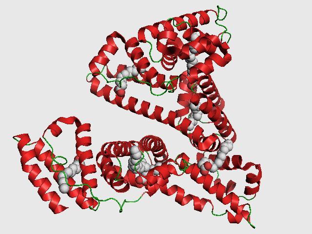 Využití proteinů pro chirální separace v CE Hovězí sérový albumin (BSA) Produkován v játrech, nejvíc zastoupený protein v séru savců.