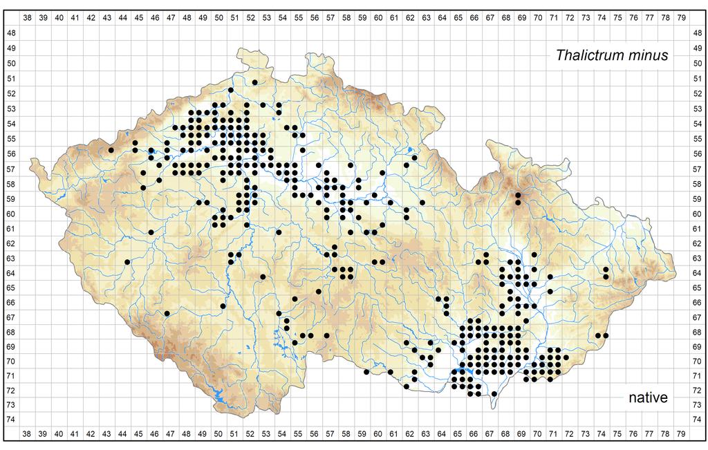 Distribution of Thalictrum minus in the Czech Republic Author of the map: Zdeněk Kaplan Map produced on: 08-08-2017 Database records used for producing the distribution map of Thalictrum minus