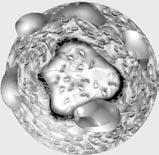 Obrázek 2. Struktura lipoproteinu volný fosfolipidy apolipoprotein triglyceridy cholesteryl ester émii je však léčba efektivnější. To je dáno větším absolutním rizikem obou podskupin.