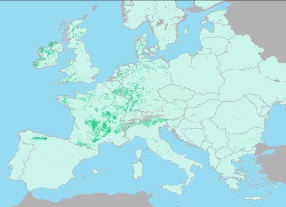 Obr. 8: Rozšíření douglasky v Evropě (zdroj: http://www.forestry.gov.