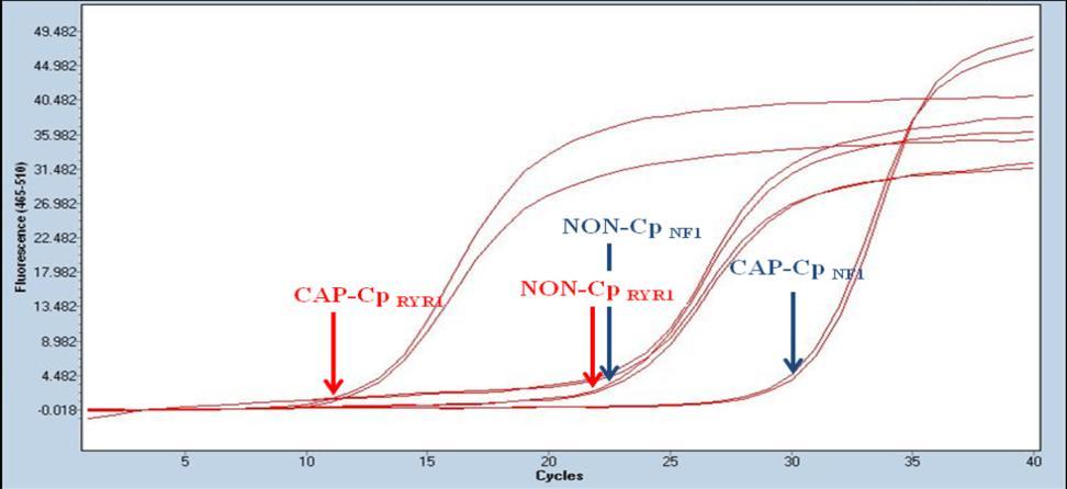 signifikantně nižší než hodnoty Cp z QF PCR amplifikované knihovny vzorků fragmentované celkové DNA