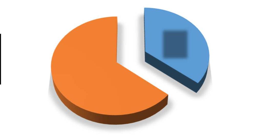 Profil respondenta Pohlaví Počet V % Muž 60