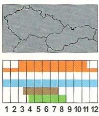 76%-80%-80%