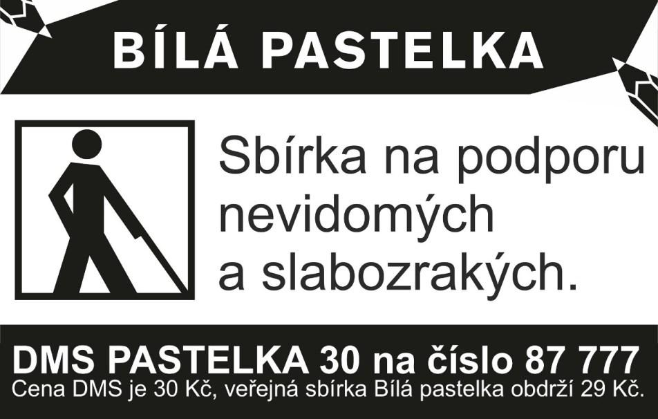 zrakovým postižením ovládání výpočetní techniky, na zpřístupňování webových stránek uživatelům s těžkým zrakovým postižením aj.