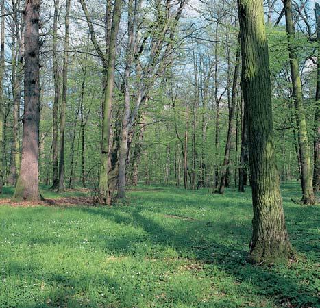 Okres Strakonice 2 rezervace Libûjovick park V chodní ãást zámeckého parku na jiïním okraji obce Libûjovice.