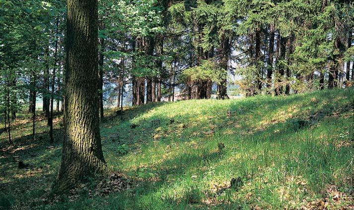 âeskobudûjovicko GEOLOGIE V chránûném území se stfiídají pruhy krystalického vápence, erlanu a kvarcitické ruly aï kvarcitu, obklopené biotitickou aï sillimanit-biotitickou migmatitizovanou pararulou